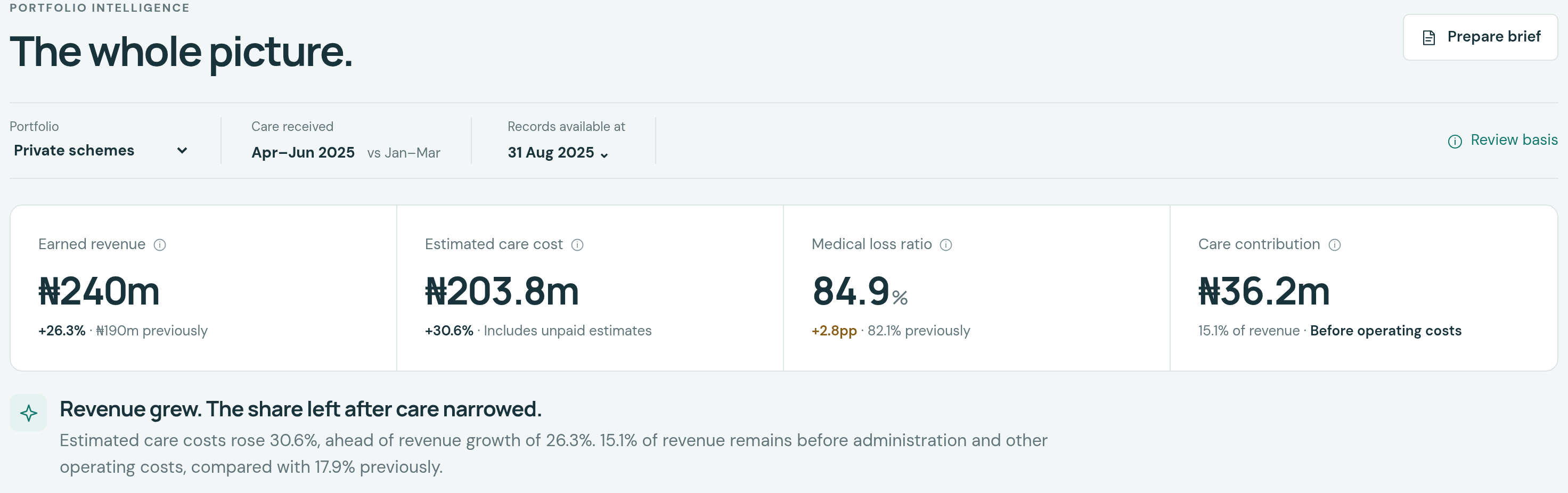 Stratum Intelligence synthetic HMO overview, showing financial context and areas for investigation.